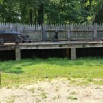 Cannons at Jamestown fort.